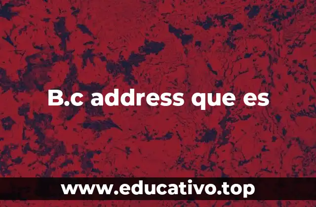 B.c address que es