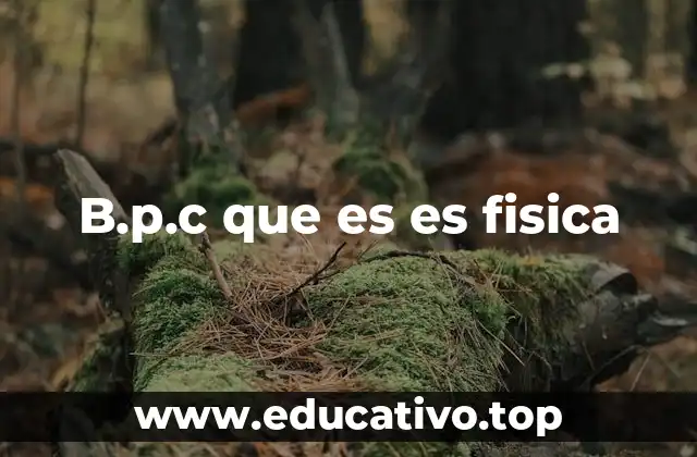 B.p.c que es es fisica