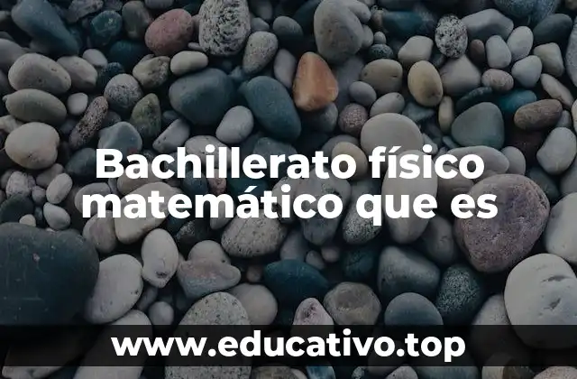 Bachillerato físico matemático que es