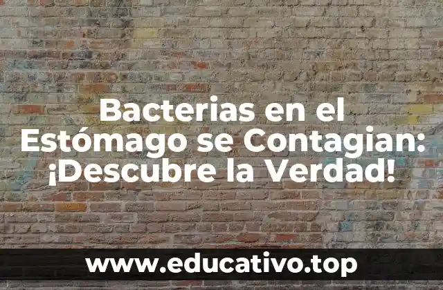 Bacterias en el Estómago se Contagian: ¡Descubre la Verdad!