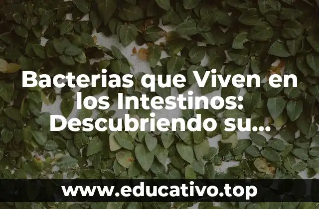 Bacterias que Viven en los Intestinos: Descubriendo su Importancia