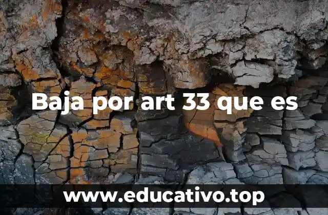 Baja por art 33 que es