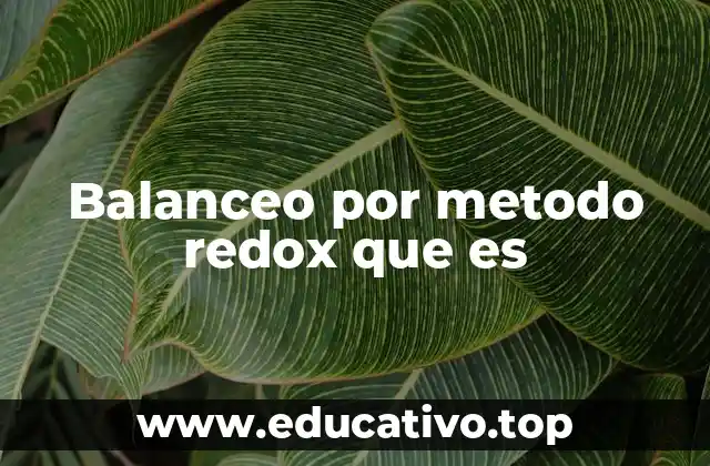 Balanceo por metodo redox que es