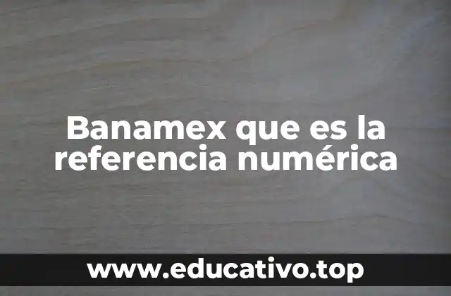 Banamex que es la referencia numérica