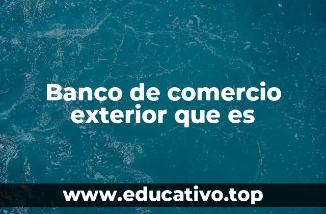 Cómo opera el sistema financiero internacional