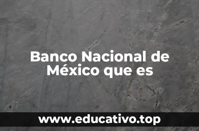 Banco Nacional de México que es