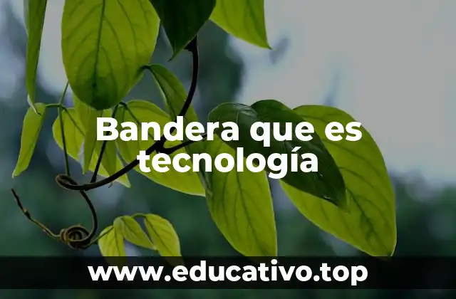 Bandera que es tecnología