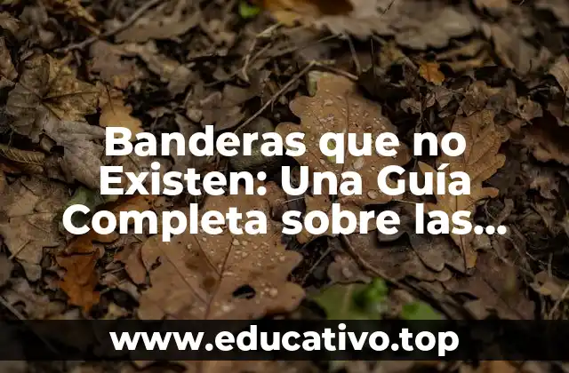 Banderas que no Existen: Una Guía Completa sobre las Banderas Ficticias