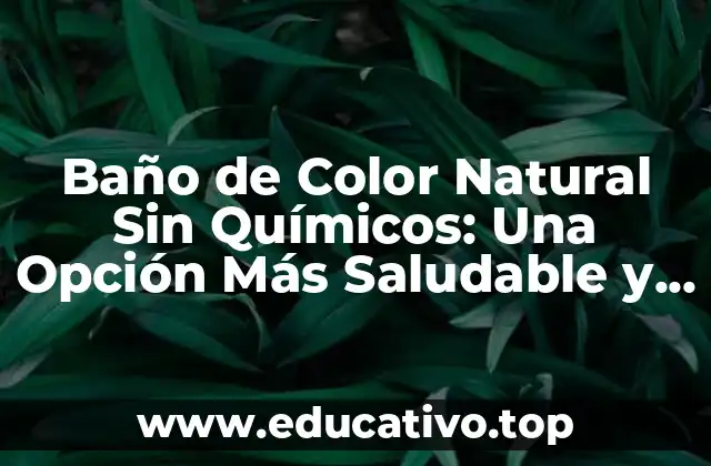 Baño de Color Natural Sin Químicos: Una Opción Más Saludable y Sostenible