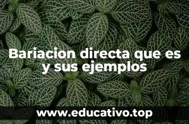 Bariacion directa que es y sus ejemplos