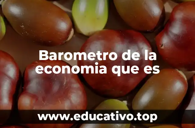 Barometro de la economia que es