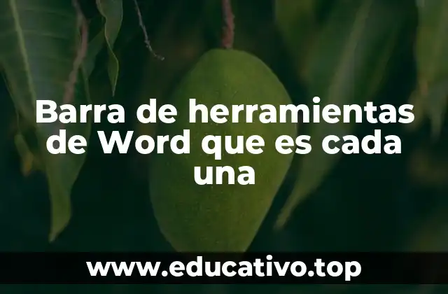 Barra de herramientas de Word que es cada una