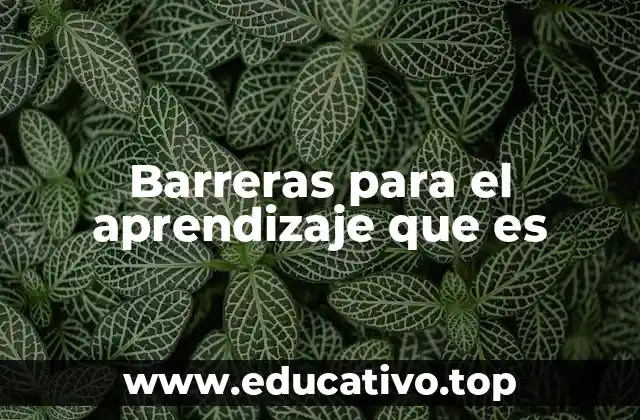 Barreras para el aprendizaje que es