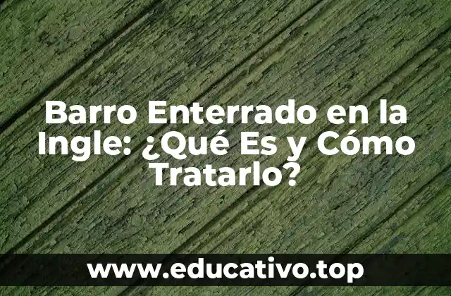 Barro Enterrado en la Ingle: ¿Qué Es y Cómo Tratarlo?