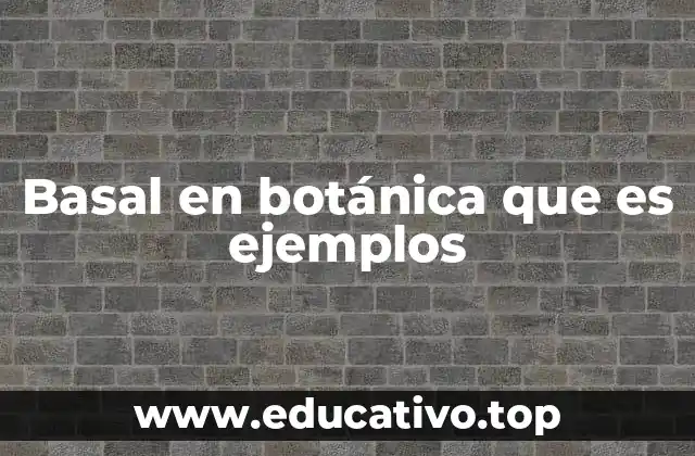 Basal en botánica que es ejemplos