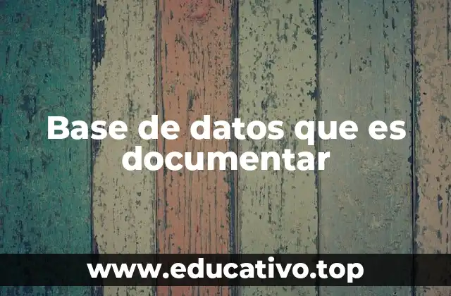 Base de datos que es documentar