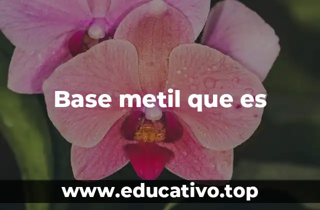 Base metil que es
