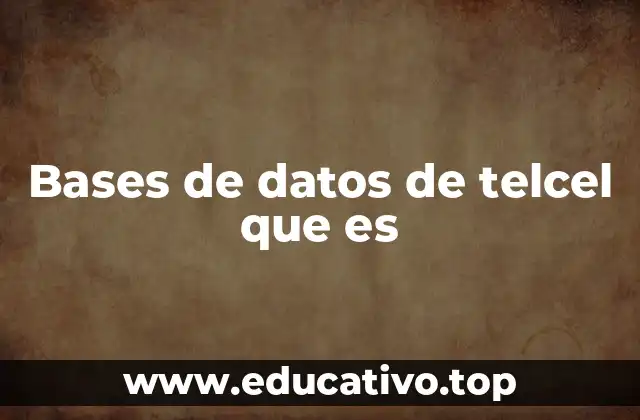 Bases de datos de telcel que es