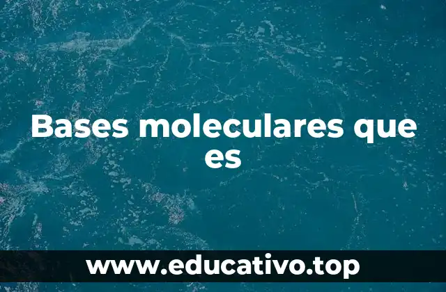 Bases moleculares que es