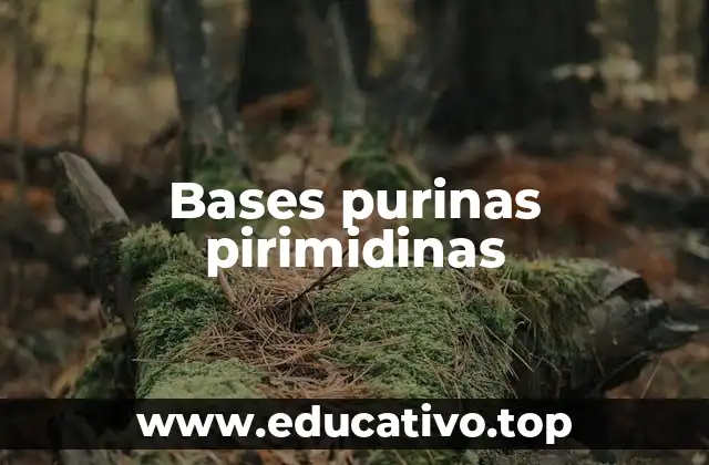 Bases purinas pirimidinas