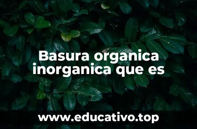 Basura organica inorganica que es