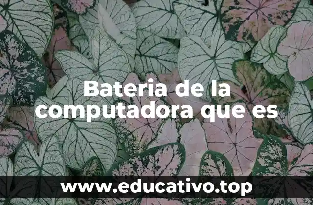 Bateria de la computadora que es