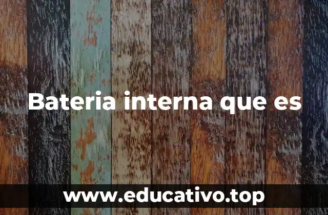 Bateria interna que es