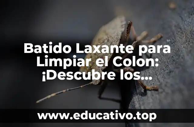 Batido Laxante para Limpiar el Colon: ¡Descubre los Beneficios!