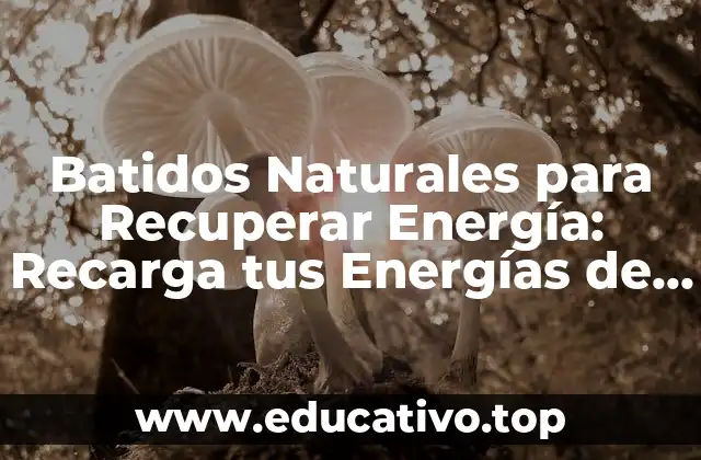 Batidos Naturales para Recuperar Energía: Recarga tus Energías de Forma Saludable