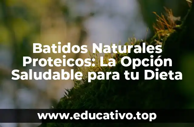 Batidos Naturales Proteicos: La Opción Saludable para tu Dieta