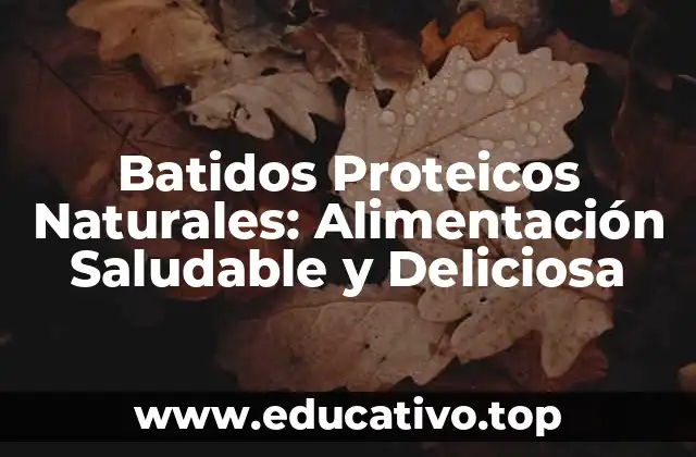 Batidos Proteicos Naturales: Alimentación Saludable y Deliciosa