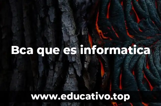 Bca que es informatica