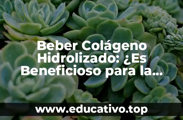Beber Colágeno Hidrolizado: ¿Es Beneficioso para la Salud y la Belleza?