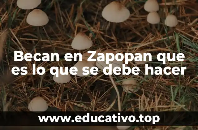 Becan en Zapopan que es lo que se debe hacer
