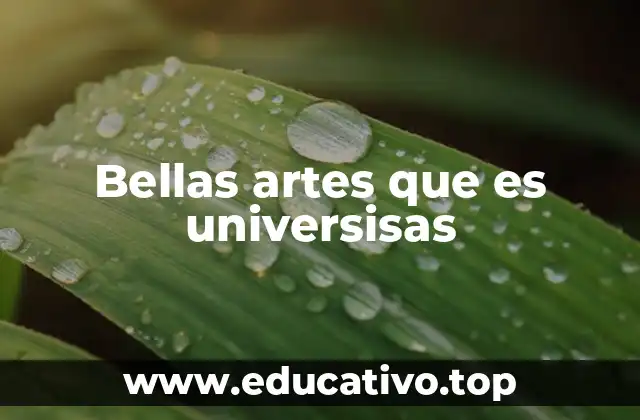 La importancia de las bellas artes en la educación superior