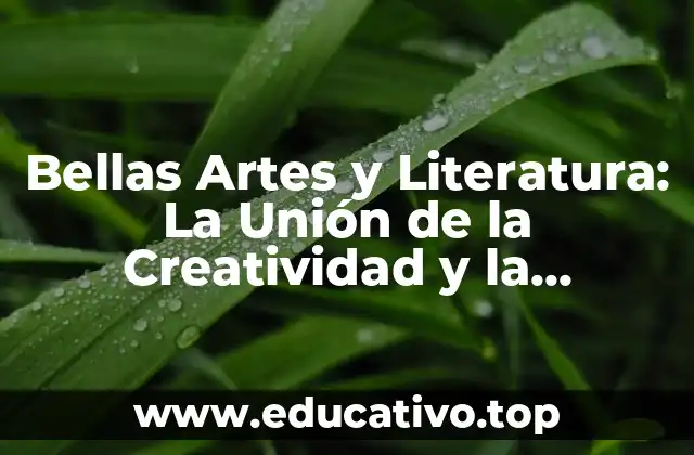 Bellas Artes y Literatura: La Unión de la Creatividad y la Expresión