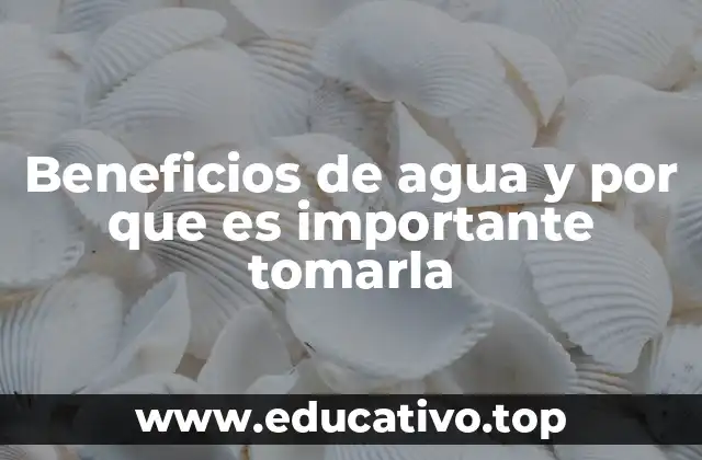 Beneficios de agua y por que es importante tomarla
