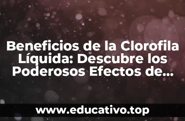 Beneficios de la Clorofila Líquida: Descubre los Poderosos Efectos de esta Sustancia Natural