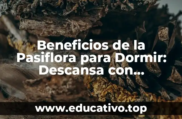 Beneficios de la Pasiflora para Dormir: Descansa con Tranquilidad Natural