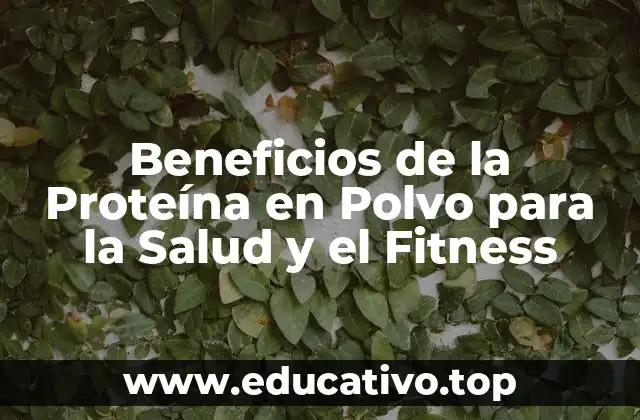 Beneficios de la Proteína en Polvo para la Salud y el Fitness