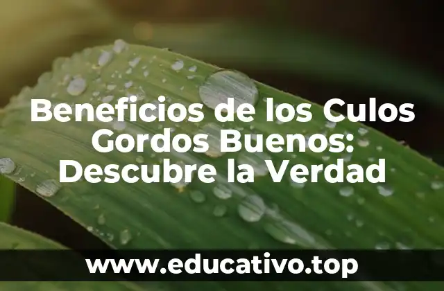 Beneficios de los Culos Gordos Buenos: Descubre la Verdad
