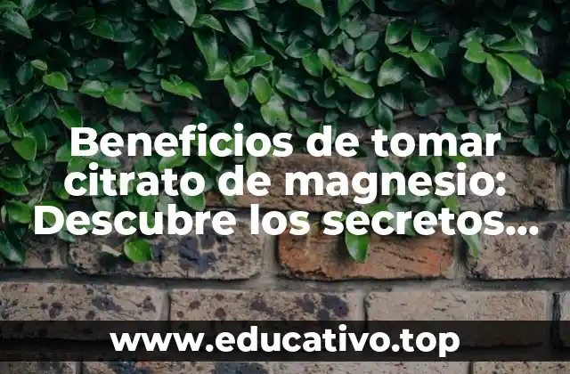 Beneficios de tomar citrato de magnesio: Descubre los secretos de este mineral esencial