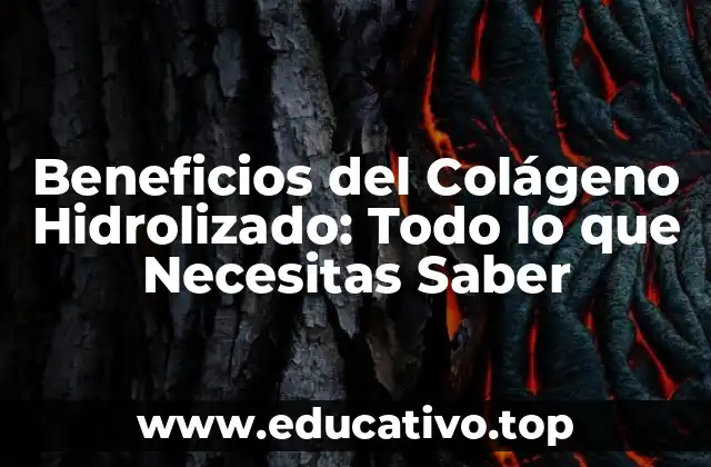 Beneficios del Colágeno Hidrolizado: Todo lo que Necesitas Saber
