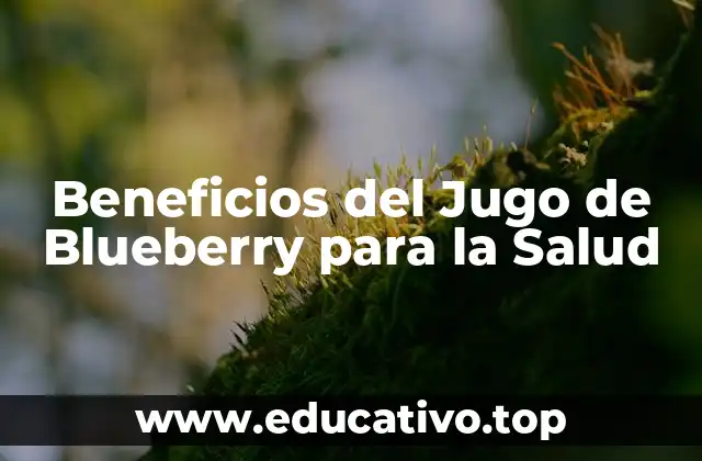 Beneficios del Jugo de Blueberry para la Salud