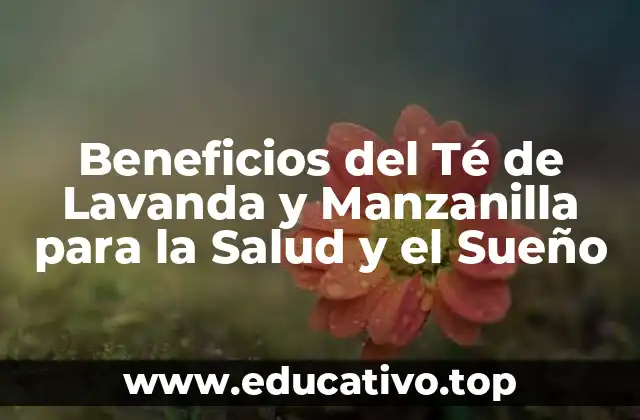 Beneficios del Té de Lavanda y Manzanilla para la Salud y el Sueño