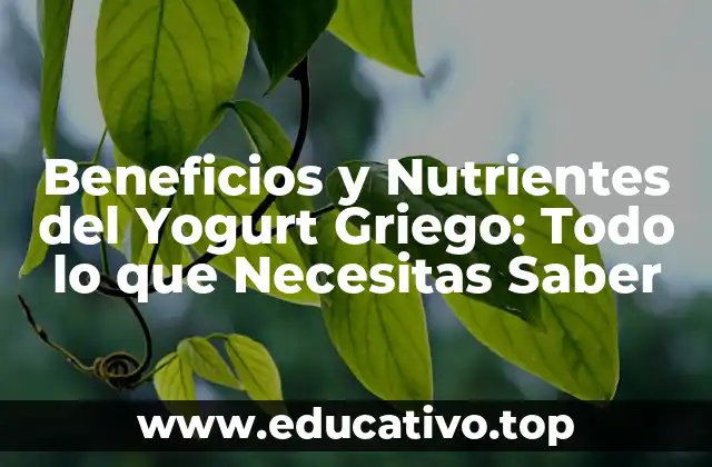 Beneficios y Nutrientes del Yogurt Griego: Todo lo que Necesitas Saber