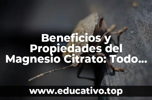 Beneficios y Propiedades del Magnesio Citrato: Todo lo que Necesitas Saber