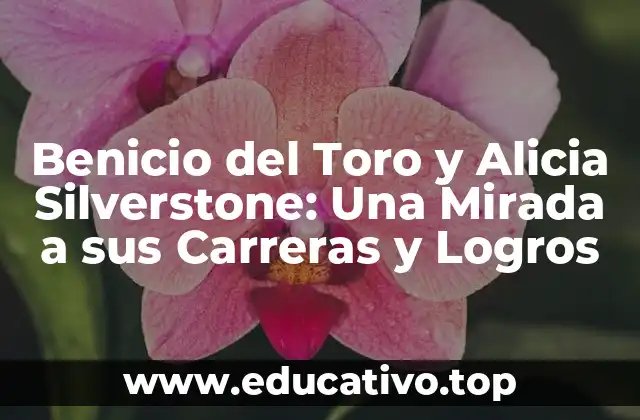 Benicio del Toro y Alicia Silverstone: Una Mirada a sus Carreras y Logros