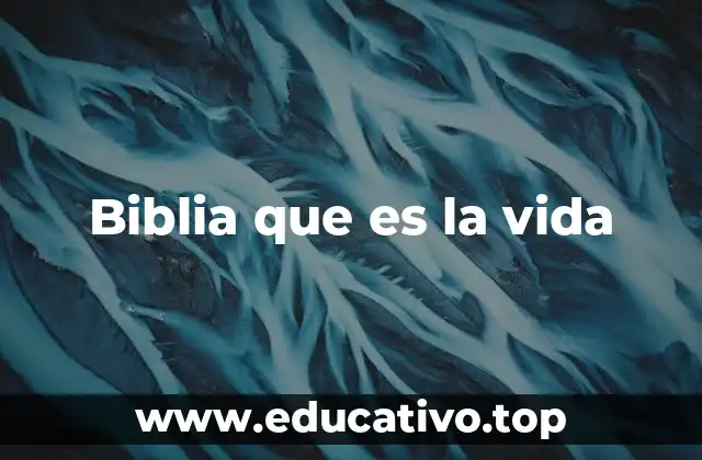 Biblia que es la vida