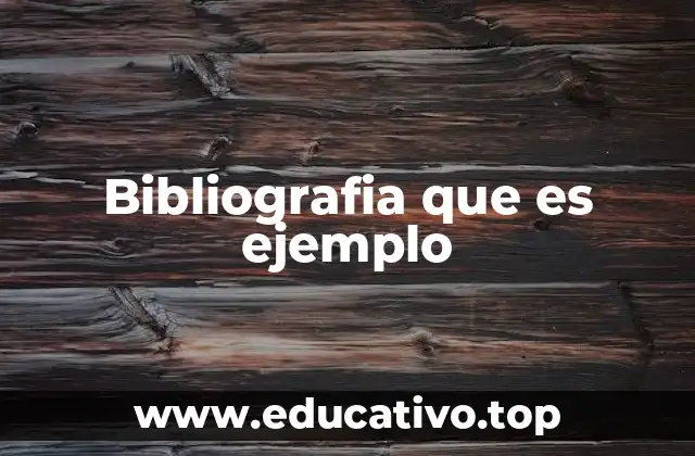 Bibliografia que es ejemplo